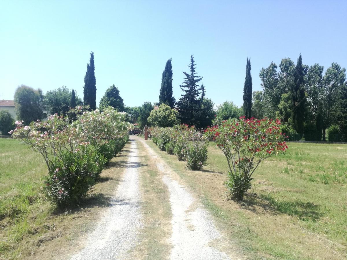 B&B Il Parco San Giuliano Terme Exteriér fotografie